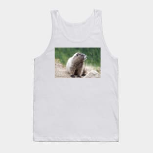 Hoary marmot (Marmota caligata) in Mount Rainier National Park Tank Top